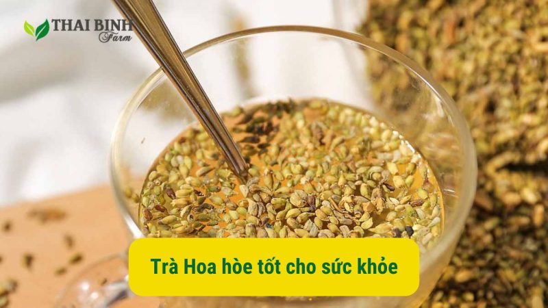 Công dụng của hoa hòe đối với sức khỏe